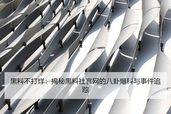 黑料不打烊：揭秘黑料社官网的八卦爆料与事件追踪